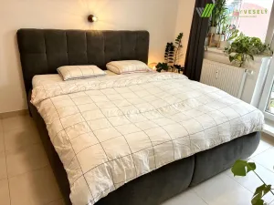 Pronájem bytu 2+1, Brno, Vondrákova, 60 m2