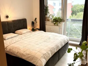 Pronájem bytu 2+1, Brno, Vondrákova, 60 m2