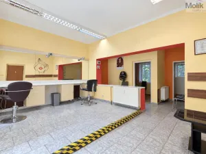 Pronájem obchodního prostoru, Krupka, Poštovní, 39 m2