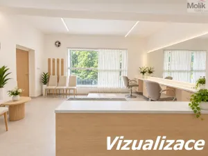 Pronájem obchodního prostoru, Krupka, Poštovní, 39 m2