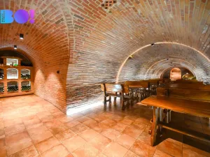 Prodej vinného sklepa, Dyjákovice, 180 m2