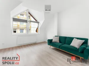 Prodej bytu 3+kk, Praha - Žižkov, Na chmelnici, 109 m2