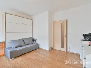 Pronájem bytu 1+kk, Brno, Hostinského, 25 m2
