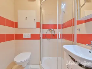 Pronájem bytu 1+kk, Brno, Hostinského, 25 m2