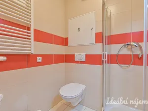 Pronájem bytu 1+kk, Brno, Hostinského, 25 m2
