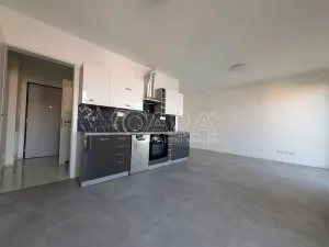 Pronájem bytu 1+kk, Plzeň - Skvrňany, Na Průhonu, 36 m2