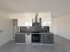 Pronájem bytu 1+kk, Plzeň - Skvrňany, Na Průhonu, 36 m2