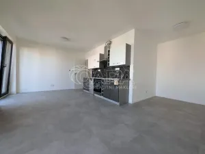 Pronájem bytu 1+kk, Plzeň - Skvrňany, Na Průhonu, 36 m2