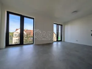 Pronájem bytu 1+kk, Plzeň - Skvrňany, Na Průhonu, 36 m2