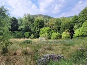 Prodej chaty, Malečov - Horní Zálezly, 16 m2