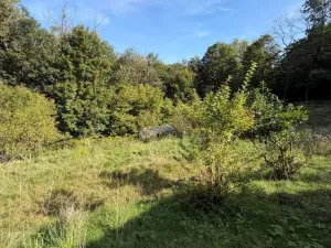 Prodej chaty, Malečov - Horní Zálezly, 16 m2