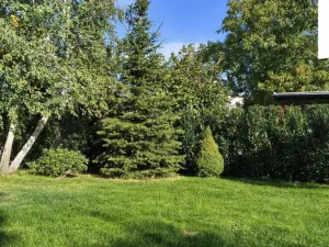 Prodej rodinného domu, Bakov nad Jizerou, Dvořákova, 137 m2