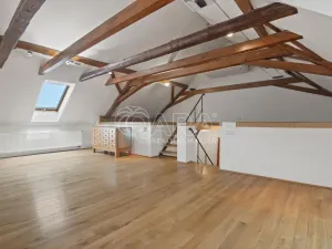 Pronájem komerční nemovitosti, Praha - Ďáblice, Na terase, 470 m2