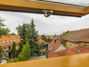 Pronájem komerční nemovitosti, Praha - Ďáblice, Na terase, 470 m2