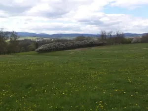 Dražba louky, Staré Město, 10063 m2