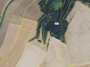 Dražba lesa, Bělá nad Svitavou, 284 m2