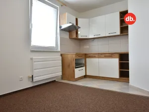 Pronájem bytu 2+kk, Ostrov, Karlovarská, 52 m2