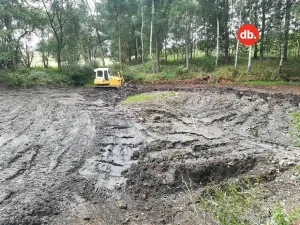 Prodej rybníku, Toužim, 5506 m2
