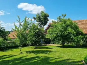 Prodej rodinného domu, Žďárná, 200 m2