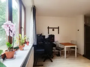 Pronájem bytu 1+kk, Brno, Gallašova, 28 m2