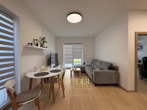 Pronájem bytu 3+kk, Teplice, Albrechtova, 73 m2