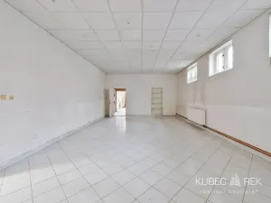 Prodej skladu, Tábor, Nábřeží, 237 m2