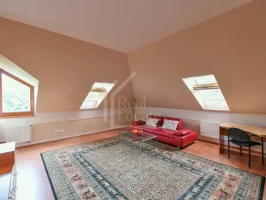 Pronájem rodinného domu, Praha - Čimice, Na průhonu, 310 m2