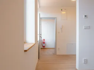 Pronájem bytu 1+kk, Silůvky, Anenská, 40 m2