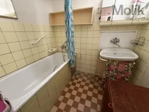 Prodej bytu 2+1, Litvínov - Horní Litvínov, U Zámeckého parku, 56 m2