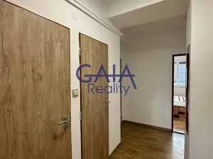 Pronájem bytu 3+1, Louka, 66 m2