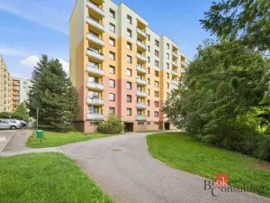 Prodej bytu 3+1, Náchod - Staré Město nad Metují, Růžová, 72 m2