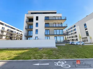 Pronájem bytu 2+kk, Plzeň - Jižní Předměstí, Železná, 57 m2
