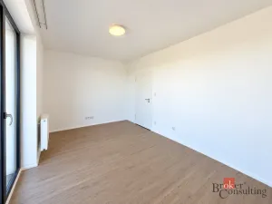 Pronájem bytu 2+kk, Plzeň - Jižní Předměstí, Železná, 57 m2