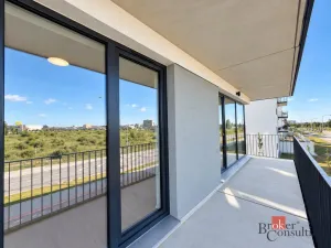 Pronájem bytu 2+kk, Plzeň - Jižní Předměstí, Železná, 57 m2