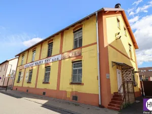 Prodej obchodního prostoru, Ostrava - Mariánské Hory, Daliborova, 642 m2