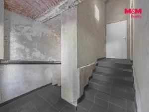 Pronájem komerční nemovitosti, Praha, Seifertova, 100 m2