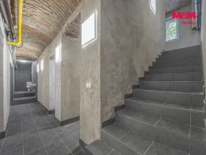 Pronájem komerční nemovitosti, Praha, Seifertova, 100 m2