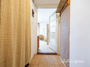 Pronájem bytu 1+kk, Praha - Žižkov, Jana Želivského, 30 m2