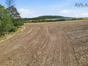 Prodej pozemku pro bydlení, Babice u Rosic, 4169 m2