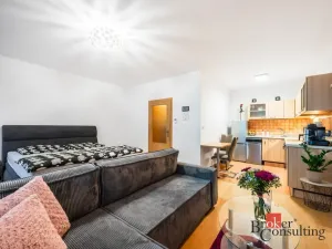 Prodej bytu 1+kk, Brno - Líšeň, Holzova, 40 m2