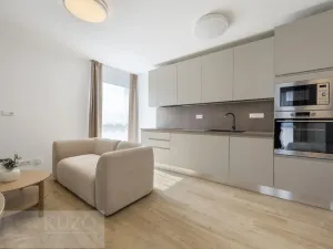 Pronájem bytu 1+kk, Brno, Auerswaldova, 38 m2