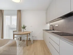 Pronájem bytu 1+kk, Brno, Auerswaldova, 38 m2