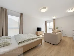 Pronájem bytu 1+kk, Brno, Auerswaldova, 38 m2