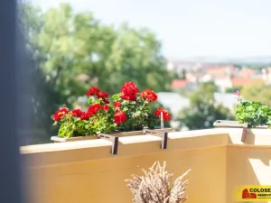 Prodej bytu 3+kk, Veselí nad Moravou, 54 m2