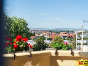 Prodej bytu 3+kk, Veselí nad Moravou, 54 m2