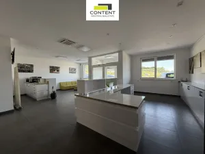 Pronájem výrobních prostor, Týn nad Vltavou - Malá Strana, Průmyslová, 4546 m2