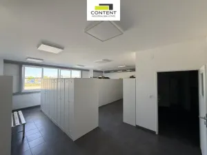 Pronájem výrobních prostor, Týn nad Vltavou - Malá Strana, Průmyslová, 4546 m2