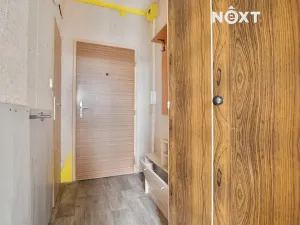 Pronájem bytu 1+kk, Žatec, Ostrov, 20 m2