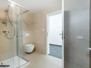 Prodej bytu 1+kk, Plzeň, Železná, 34 m2