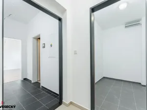 Prodej bytu 1+kk, Plzeň, Železná, 34 m2